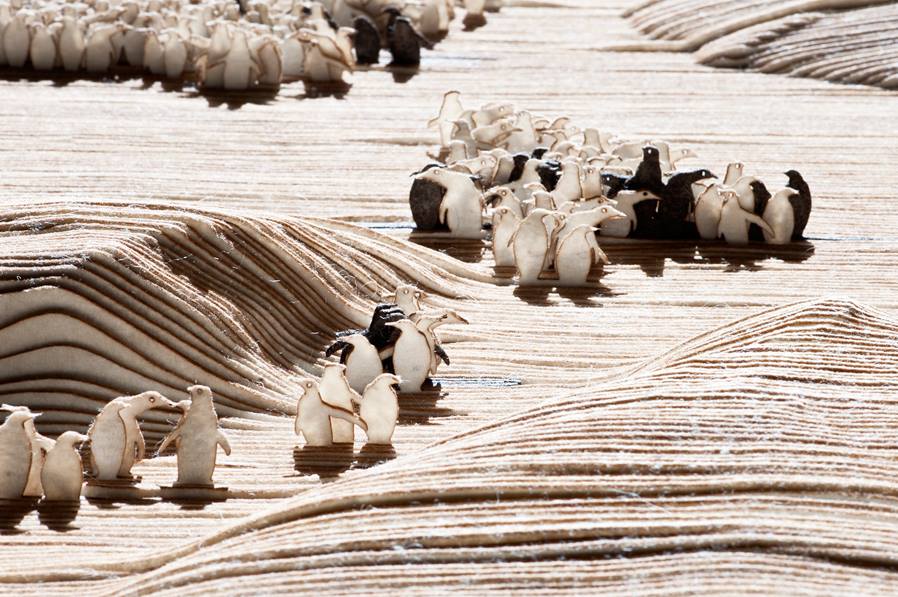 עבודת הגמר של אדריכלית נילי מוזר בהנחיית רמי טריף. שטיח לבד בהשראת המסע שעובר הפינגווין הקיסרי. צילום: עודד סמדר.
